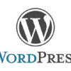 WordPress3.1.1にアップグレード