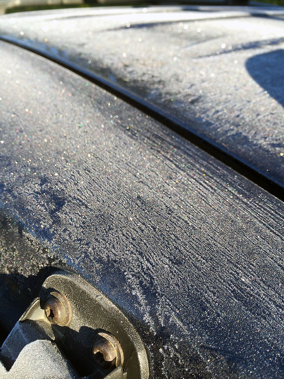 テントから出ると、車のボンネットにうっすらと霜が下りている。6月なのにさすがカナダ・・・。