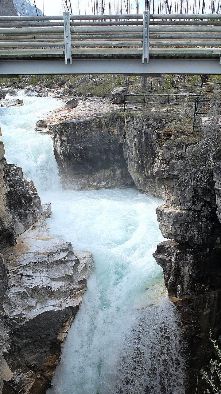 マーブル･キャニオンは国立公園の名前になっているクーネテイ川上流から流れている水が結構多くて滝もありました。