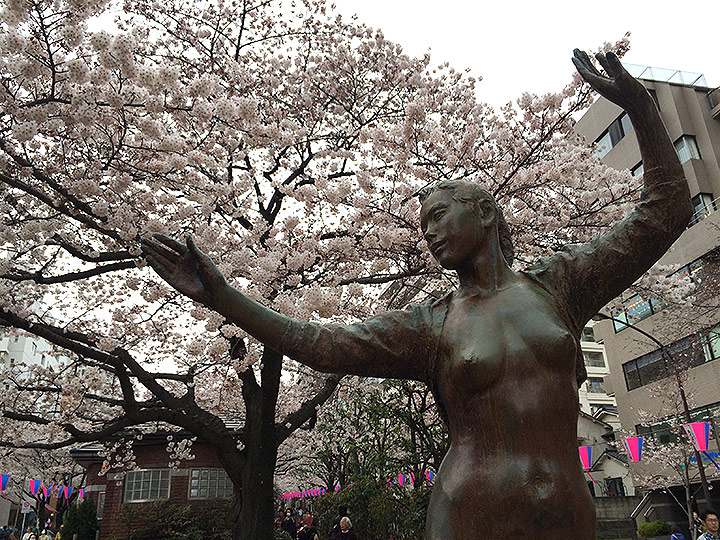 桜も満開で気持ちが良い！これで晴天だったら言うことなしですね。