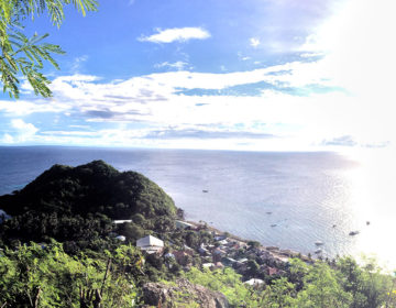 【フィリピン田舎旅】沖でシュノーケリング&軽い登山も楽しめるアポ島での日常